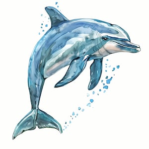 Dolphin Clipart, Tropical Dolphins Images, 10 Watercolor Clip Art, Printable JPGs, Instant Download, Commercial Use, Paper craft