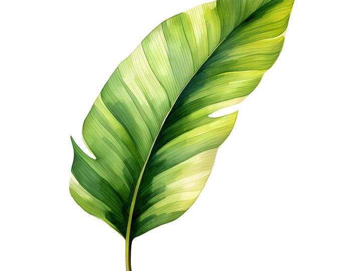 Banana Palm Leaf Clipart, Tropical Leaves Images, 10 Watercolor Clip Art, Printable JPGs, Instant Download, Commercial Use, Paper craft
