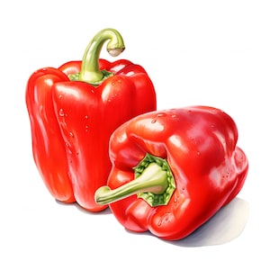 Bell Peppers Clipart, Peppers Images, 10 Watercolor Clip Art, Printable JPGs, Instant Download, Commercial Use, Paper craft