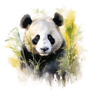 May include: A watercolor painting of a panda bear with black fur and white markings. The panda is looking directly at the viewer with a curious expression. The panda is surrounded by green foliage, suggesting a natural habitat.