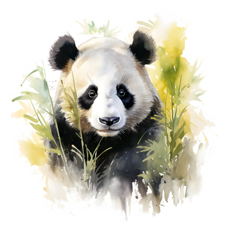 May include: A watercolor painting of a panda bear with black fur and white markings. The panda is looking directly at the viewer with a curious expression. The panda is surrounded by green foliage, suggesting a natural habitat.