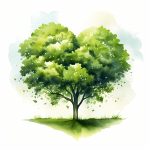Clipart de árvore em forma de coração, imagens de árvores do dia dos namorados, 10 clipart em aquarela, JPGs para impressão, download instantâneo, uso comercial