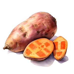 Imágenes prediseñadas de patata, imágenes de batata, 10 imágenes prediseñadas de acuarela, archivos JPG imprimibles, descarga instantánea, uso comercial, manualidades de papel