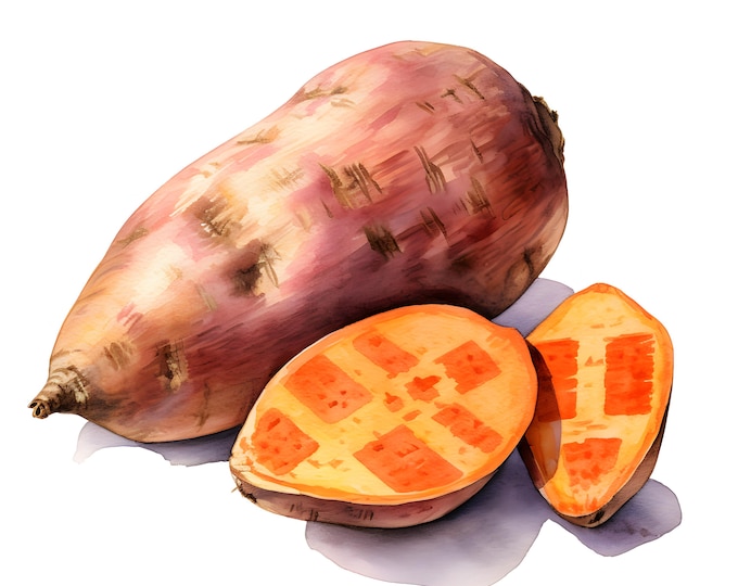 Potato Clipart, Sweet Potato Images, 10 Watercolor Clip Art, Printable JPGs, Instant Download, Commercial Use, Paper craft