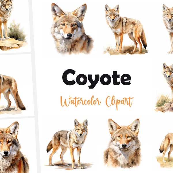 10 Coyote Clipart, Coyote JPG, Watercolor Clipart, High Quality JPGs, Digital Download, High Resolution, Commercial Use