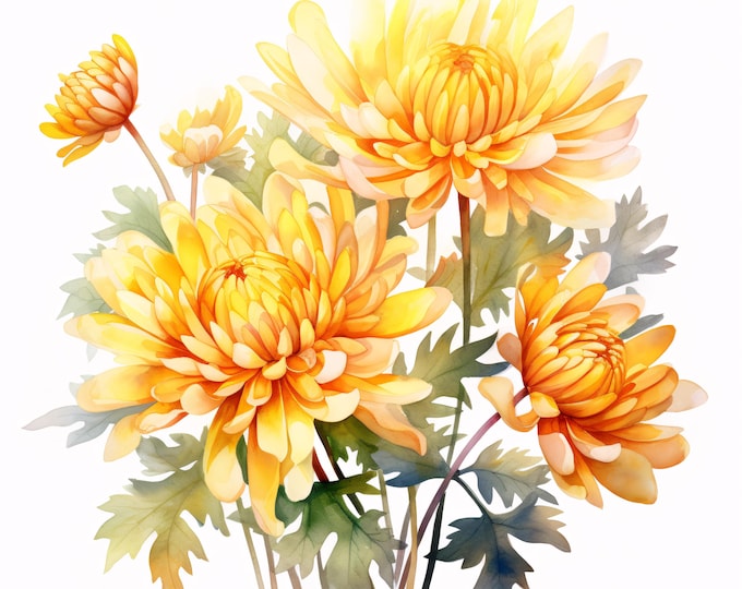 Yellow Chrysanthemum Clipart: 10 Watercolor Flower JPGs (Commercial Use, Instant Download)