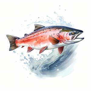 Clipart zalm, afbeeldingen koning zalm vis, 10 aquarel illustraties, afdrukbare JPG's, Instant Download, Commercieel gebruik, Papercraft
