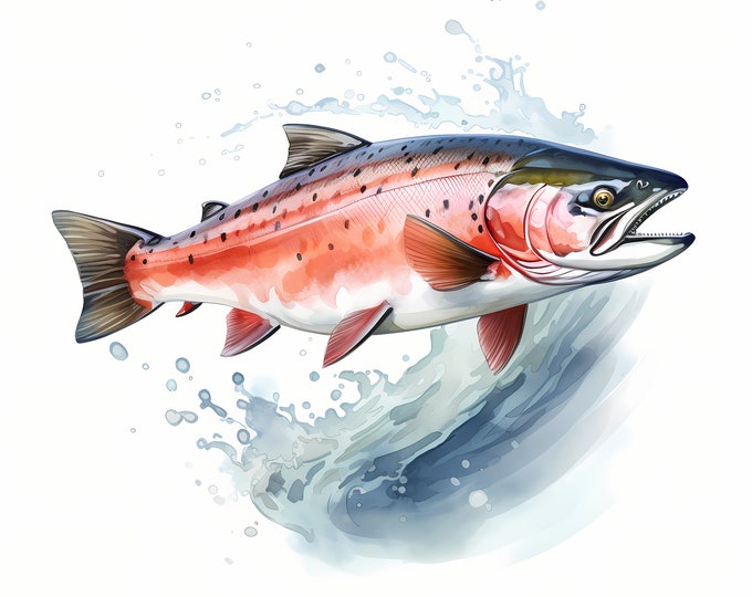 Salmon Clipart, King Salmon Fish Images, 10 Watercolor Clip Art, Printable JPGs, Instant Download, Commercial Use, Paper craft