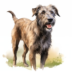 Watercolor Irish Wolfhound Clipart: Dog Breed Art (JPGs, Commercial Use)
