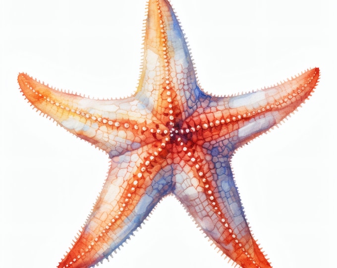 Starfish Clipart, Ocean Sea Star Images, 10 Watercolor Clip Art, Printable JPGs, Instant Download, Commercial Use, Paper craft