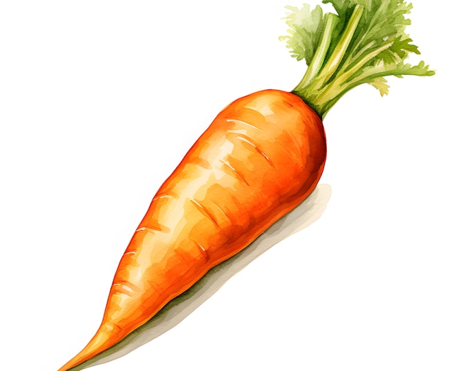Carrots Clipart, Farm Carrots Images, 10 Watercolor Clip Art, Printable JPGs, Instant Download, Commercial Use, Paper craft