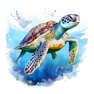 Clipart grosse tortue, Images de tortues de mer, 10 images clipart aquarelle, fichiers JPG imprimables, téléchargement immédiat, usage commercial, créations en papier