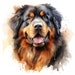 Tibetan Mastiff Clipart, Mastiff Dog Images, 10 Watercolor Clip Art ...