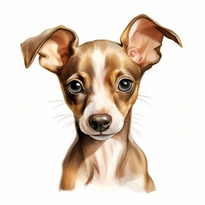 Clipart lévrier italien, images de chiot, 10 images clipart aquarelle, fichiers JPG imprimables, téléchargement immédiat, usage commercial, créations en papier