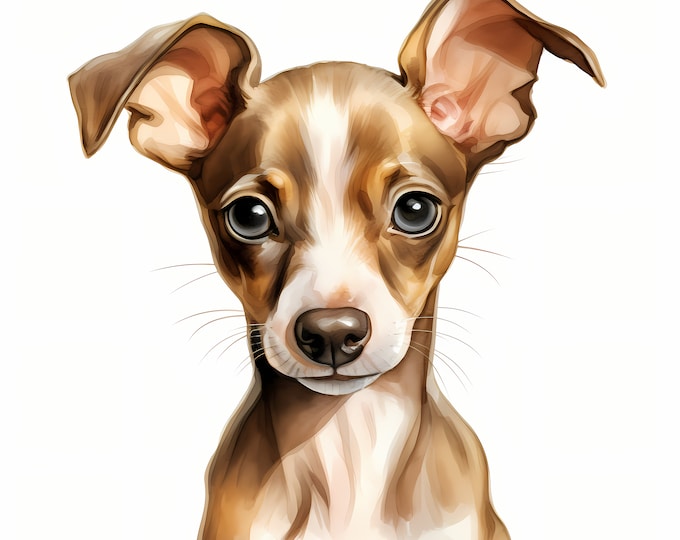 Italian Greyhound Clipart, Puppy Dog Images, 10 Watercolor Clip Art, Printable JPGs, Instant Download, Commercial Use, Paper craft