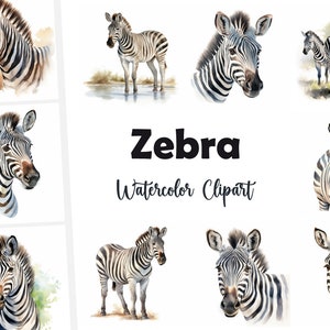 Zebra clipart, zebra afbeeldingen, 10 aquarel illustraties, afdrukbare jpg's, Instant Download, Commercieel gebruik, Papercraft