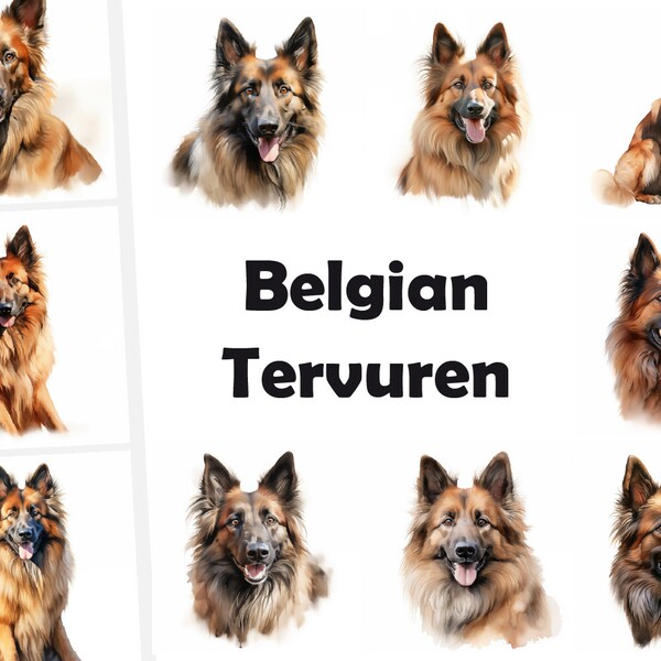 10 Belgian Tervuren, Belgian Tervuren Dog JPG, Watercolor Clipart, Digital Download, High Resolution, Commercial Use