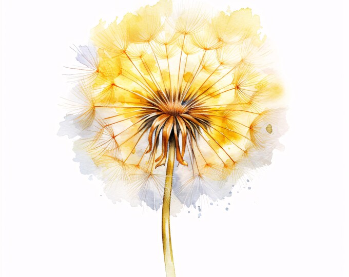 Watercolor Dandelion Clipart: Yellow Flower Images (Commercial Use, JPGs, Instant Download