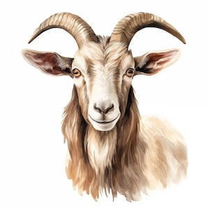 Goat Clipart, Farmyard Goat Images, 13 Watercolor Clip Art, Printable JPGs, Instant Download, Commercial Use, Paper craft