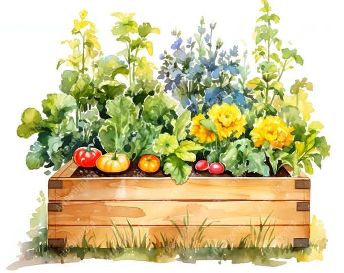 Garden Box Clipart, Vegetables Box Images, 10 Watercolor Clip Art, Printable JPGs, Instant Download, Commercial Use, Paper craft
