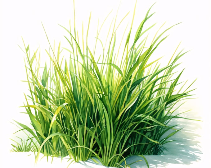 Green Grass Clipart, Lawn and Nature Images, 10 Watercolor Clip Art, Printable JPGs, Instant Download, Commercial Use, Paper craft