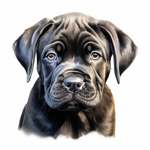 Clipart Cane corso, images de chiot, 10 images clipart aquarelle, fichiers JPG imprimables, téléchargement immédiat, usage commercial, créations en papier