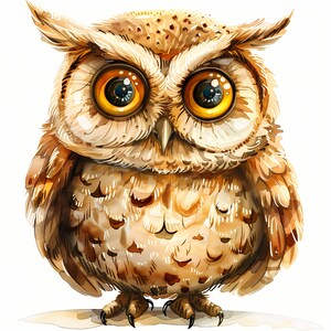 Quirky Owl Clipart, Whimsical Owls Images, 10 Watercolor Clip Art ...
