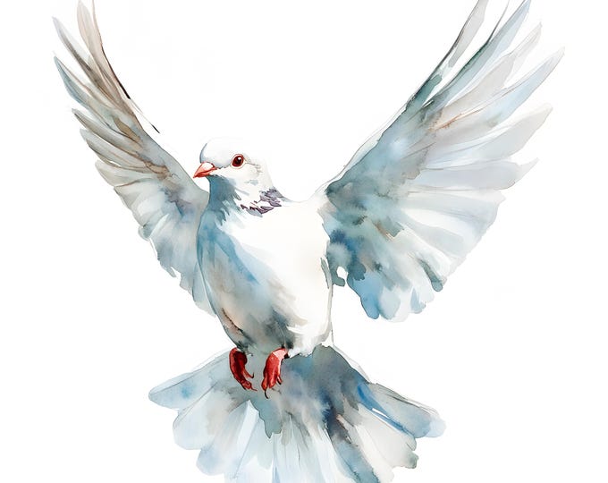 Dove Clipart, White Dove Images, 10 Watercolor Clip Art, Printable JPGs, Instant Download, Commercial Use, Paper craft