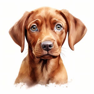 Vizsla Dog Clipart, Puppy Dog Images, 10 Watercolor Clip Art, Printable JPGs, Instant Download, Commercial Use, Paper craft