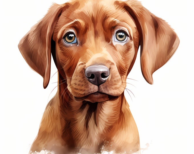 Vizsla Dog Clipart, Puppy Dog Images, 10 Watercolor Clip Art, Printable JPGs, Instant Download, Commercial Use, Paper craft