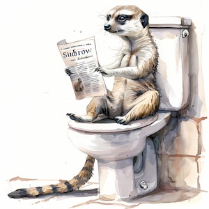 Clipart stokstaartje, stokstaartje op het toilet afbeeldingen, 10 aquarel illustraties, afdrukbare JPG's, Instant Download, commercieel gebruik, Papercraft