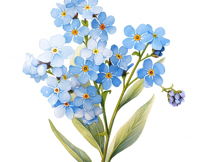 Myosotis Flower Clipart, Blue Wildflower Bouquet Images, 10 Watercolor Clip Art, Printable JPGs, Instant Download, Commercial Use