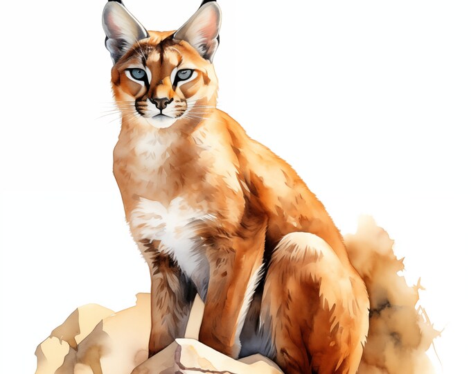 Caracal Clipart, Caracal Images, 10 Watercolor Clip Art, Printable JPGs, Instant Download, Commercial Use, Paper craft