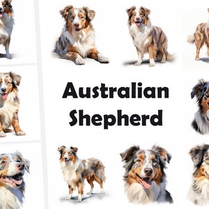 Australian Shepherd Clipart, Australian Dog Images, 10 Watercolor Clip ...
