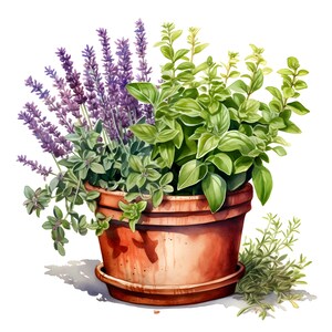 Kruidenpot clipart, kruiden in bloempot afbeeldingen, 10 aquarel illustraties, afdrukbare JPG's, Instant Download, Commercieel gebruik, Papercraft