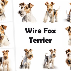 Wire Fox Terrier Clipart, Immagini Fox Terrier, 10 ClipArt ad acquerello, JPG stampabili, Download istantaneo, Uso commerciale, Mestiere con la carta