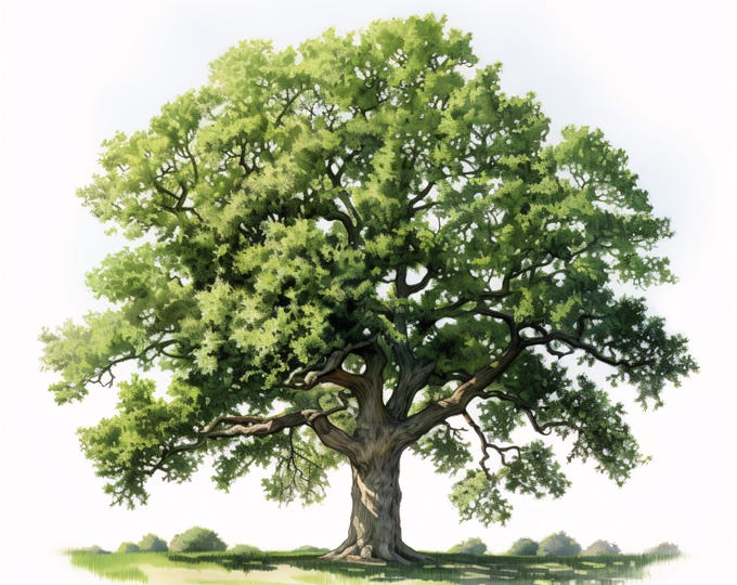 Oak Tree Clipart, Green Tree Images, 10 Watercolor Clip Art, Printable JPGs, Instant Download, Commercial Use, Paper craft