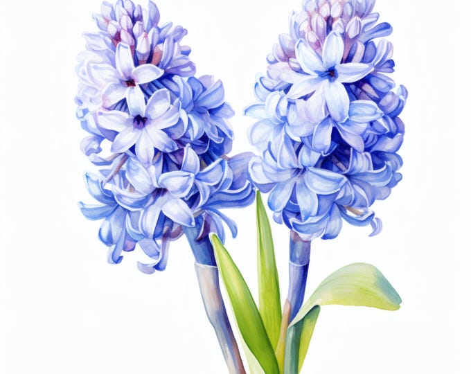 Blue Hyacinth Flowers Clipart, Spring Floral Images, 10 Watercolor Clip Art, Printable JPGs, Instant Download
