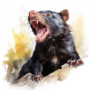 Tasmanian Devil Clipart, Tasmanian Devil Images, 10 Watercolor Clip Art, Printable JPGs, Instant Download, Commercial Use, Paper craft