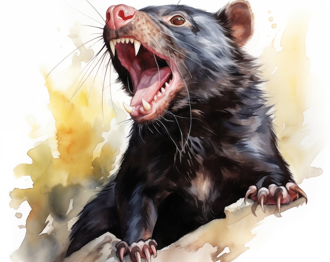 Tasmanian Devil Clipart, Tasmanian Devil Images, 10 Watercolor Clip Art, Printable JPGs, Instant Download, Commercial Use, Paper craft