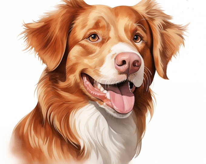 Tolling Retriever Clipart, Retriever Dog Images, 10 Watercolor Clip Art, Printable JPGs, Instant Download, Commercial Use, Paper craft