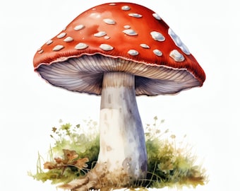 Red Toadstool Clipart, Fairy Mushroom Images, 10 Watercolor Clip Art, Printable JPGs, Instant Download, Commercial Use, Paper craft