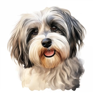 Watercolor Havanese Dog Clipart: Printable JPG Images (Commercial Use)