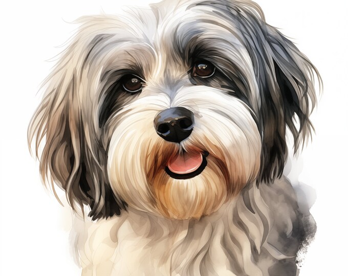 Havanese Clipart, Havanese Dog Images, 10 Watercolor Clip Art, Printable JPGs, Instant Download, Commercial Use, Paper craft