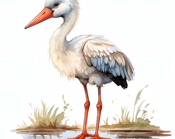 Baby Stork Clipart, Cute Stork Images, 10 Watercolor Clip Art, Printable JPGs, Instant Download, Commercial Use, Paper craft
