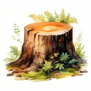 Watercolor Tree Stump Clipart: Forest Illustration (JPGs, Commercial Use)