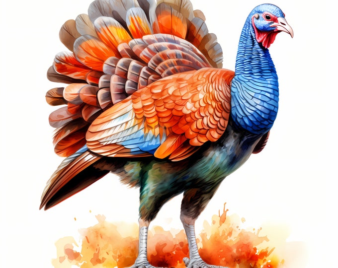 Wild Turkey Clipart, Turkey Bird Images, 10 Watercolor Clip Art, Printable JPGs, Instant Download, Commercial Use, Paper craft