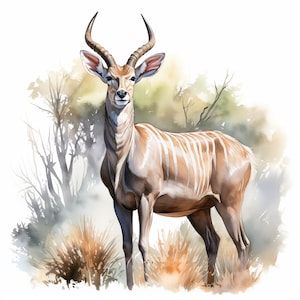 Kudu Clipart, Kudu Antelope Images, 10 Watercolor Clip Art, Printable JPGs, Instant Download, Commercial Use, Paper craft