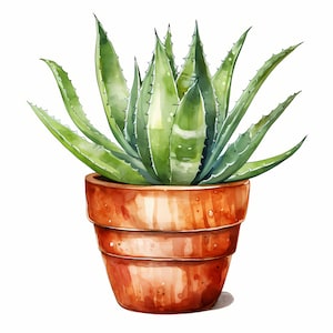 Aloe Vera Clipart, Aloe in Pot Images, 10 Watercolor Clip Art, Printable JPGs, Instant Download, Commercial Use, Paper craft