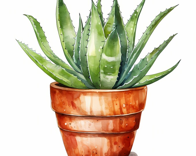 Aloe Vera Clipart, Aloe in Pot Images, 10 Watercolor Clip Art, Printable JPGs, Instant Download, Commercial Use, Paper craft